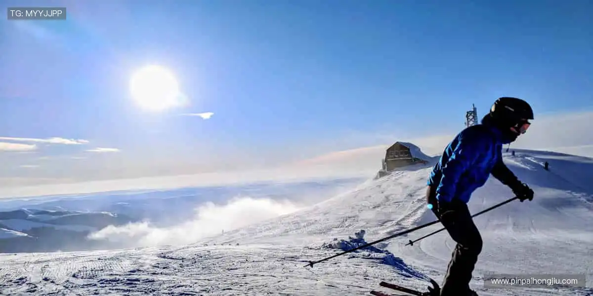 🏀 巅峰对决，见证荣耀时刻！🏆